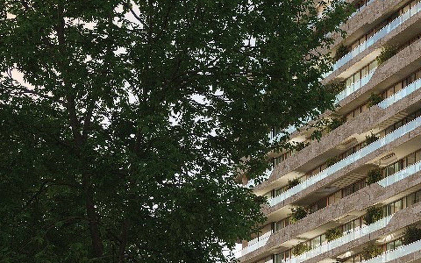 Polat Levent, Levent, İstanbul